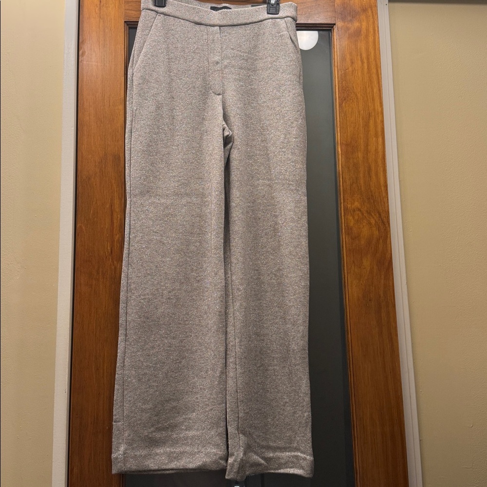 Express Metallic Gray Knit Fabric